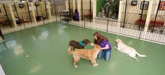 Downtown Dogs, Dog Daycare and Boarding .